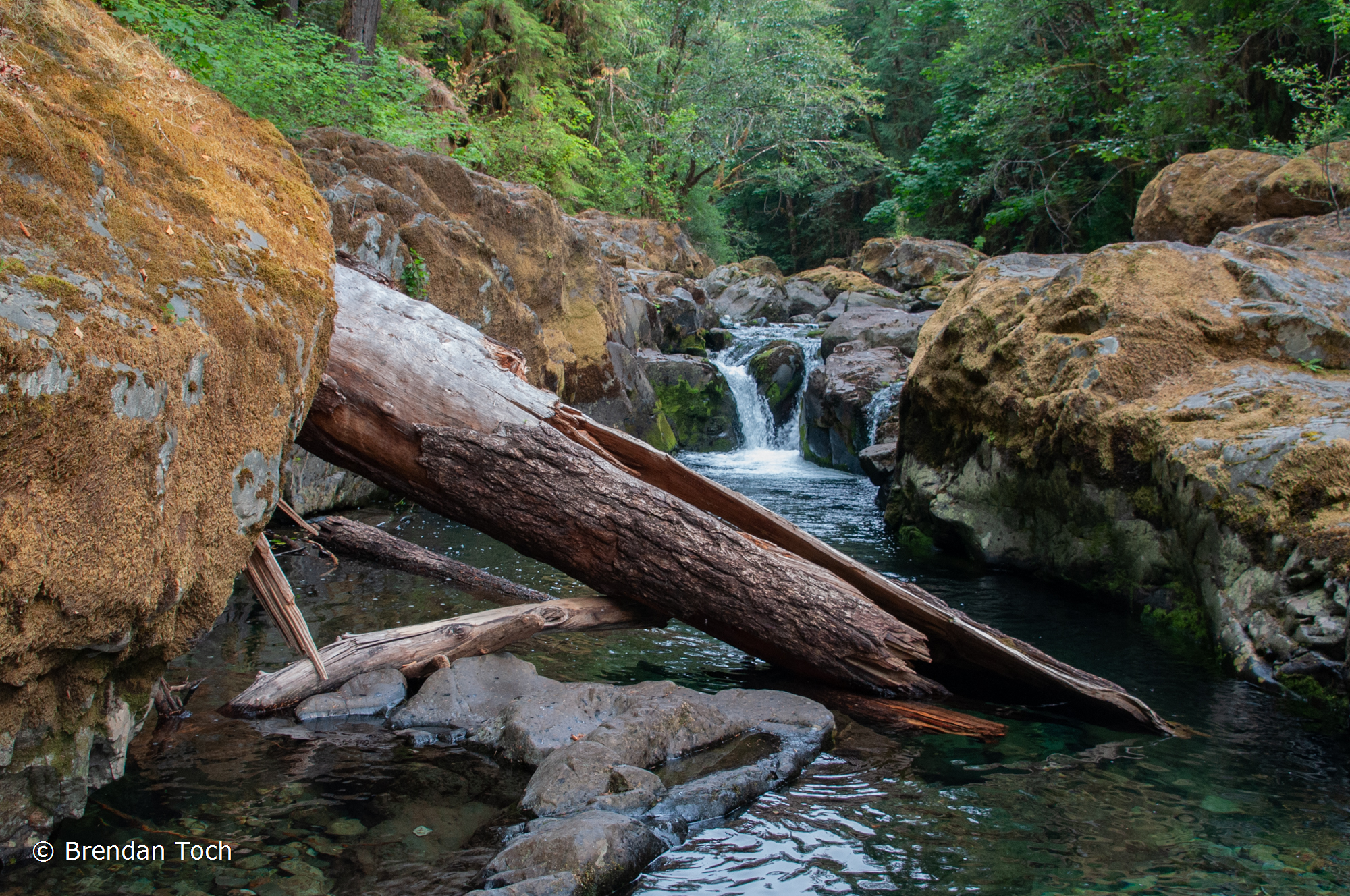 Dorena, Oregon - A deep swimming hole surrounded by rock cliffs. It feels like wonderland to jump in.